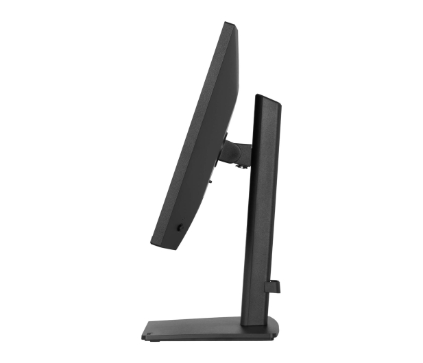 iiyama ProLite XB2491H-B1 - 1518006 - zdjęcie 4
